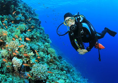 Scuba diving Sharm El Sheikh